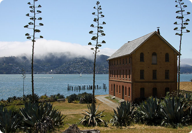 Angel Island: The Bay’s Hidden Gem 
